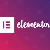Elementor Pro Lifetime Update 持續更新版（限課程學員）