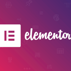 Elementor Pro Lifetime Update 持續更新版（限課程學員）